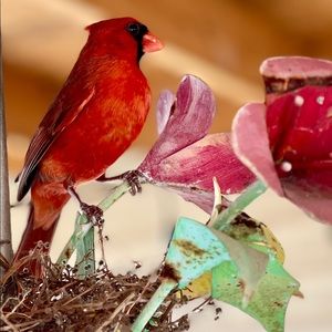 Meet your Posher, Jenny